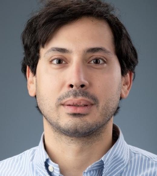 Dr. Pouya Dini