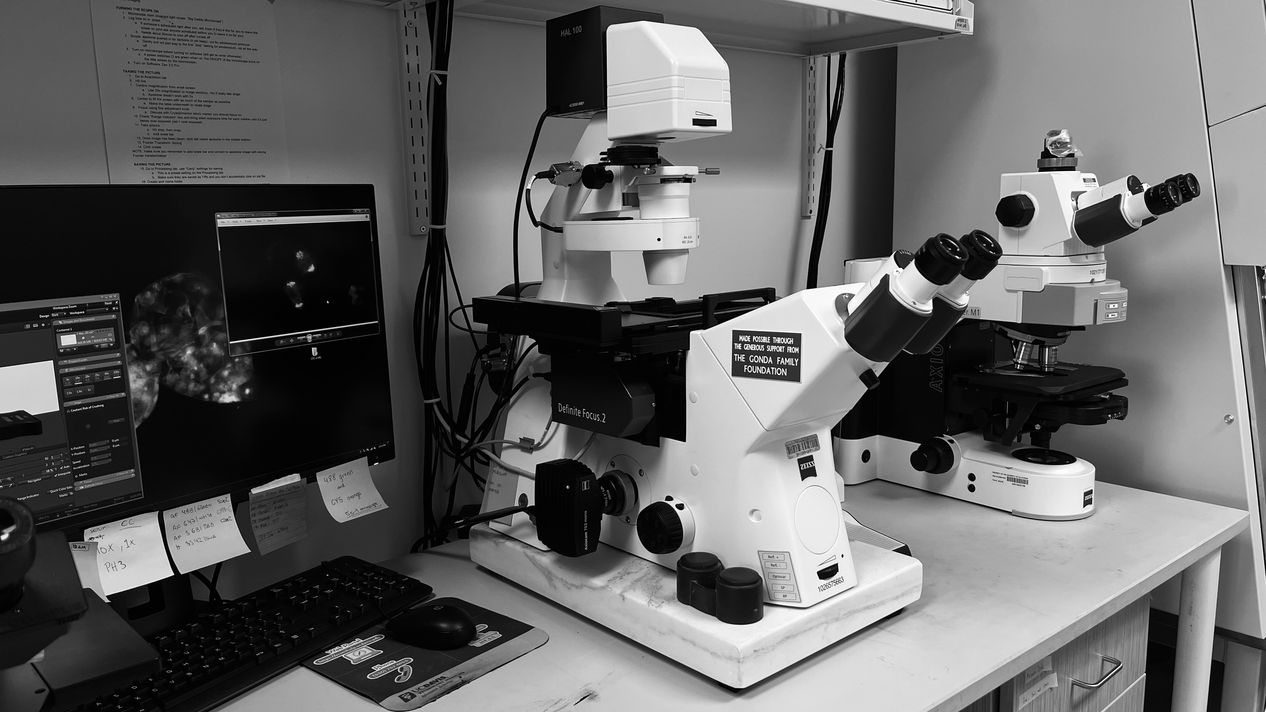 Imaging Workstation