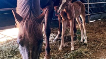 mama and baby
