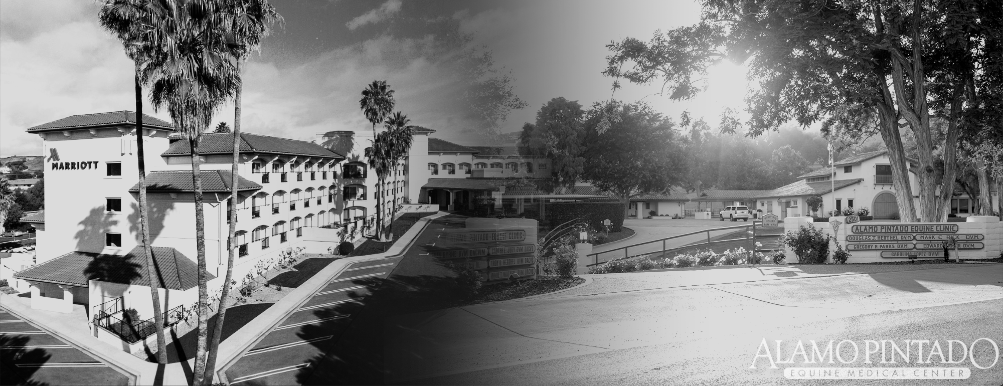 West Coast Equine Reproduction Symposium - VII Diagnostic Tests and Therapeutic Protocols 