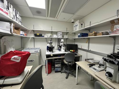 Lab